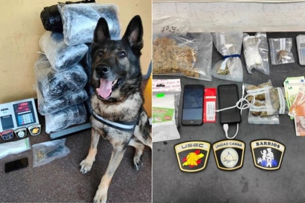 В Испании из-за марихуаны и гашиша задержали белоруса